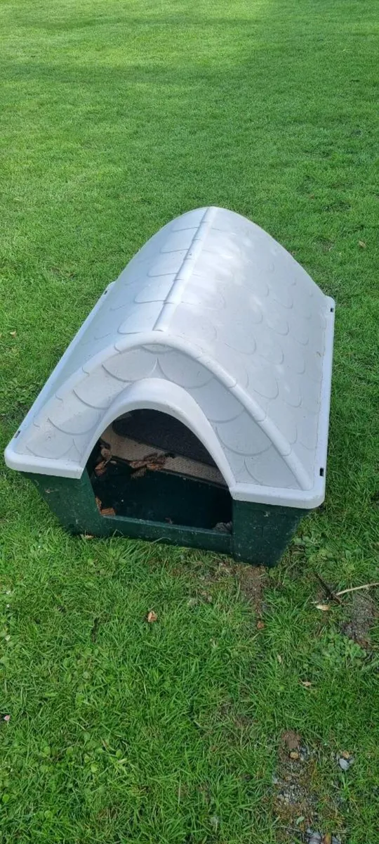 Dog Kennel