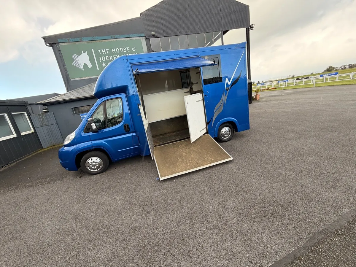 Citroen relay 2010 horse van 2 stall - Image 3