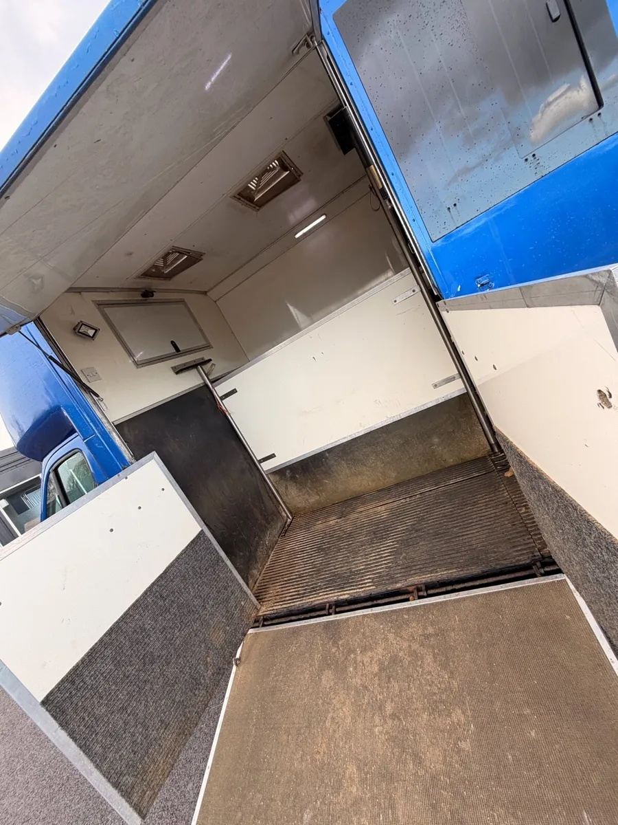 Citroen relay 2010 horse van 2 stall - Image 4