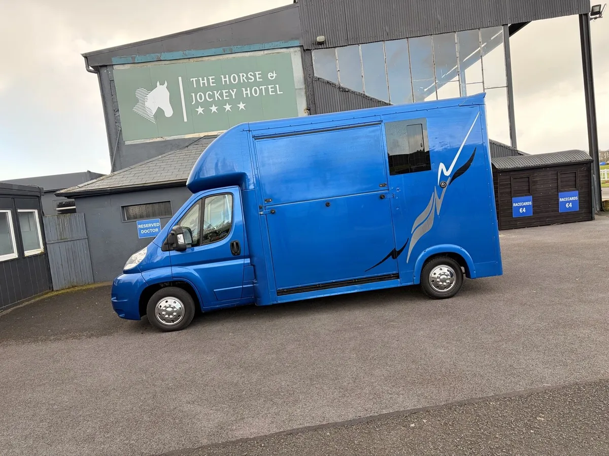 Citroen relay 2010 horse van 2 stall - Image 1