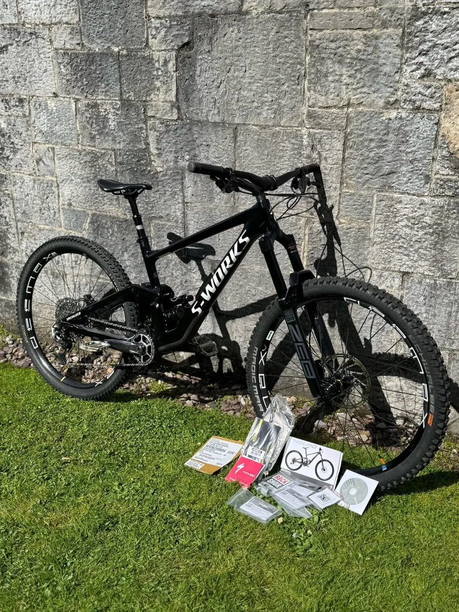 S Works Enduro - Image 1