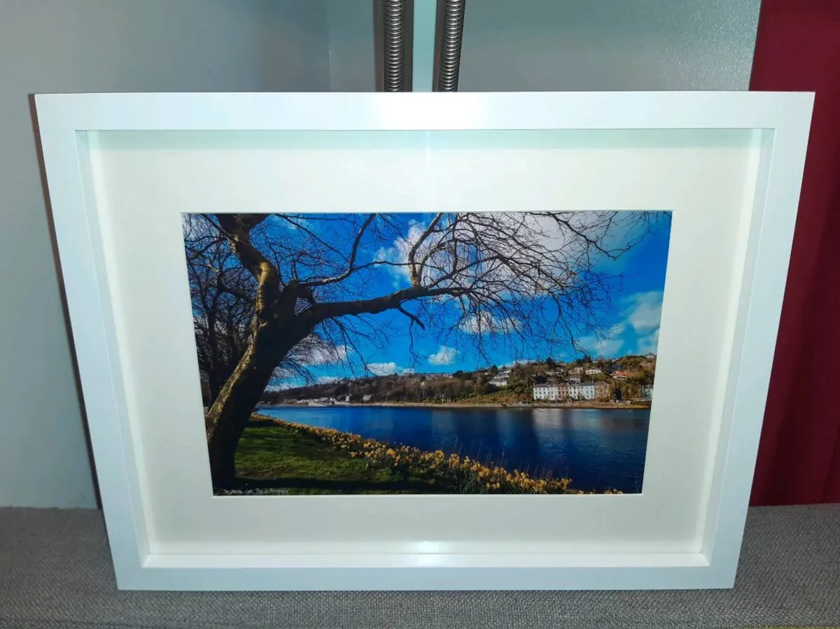 The Marina, Cork - Image 3