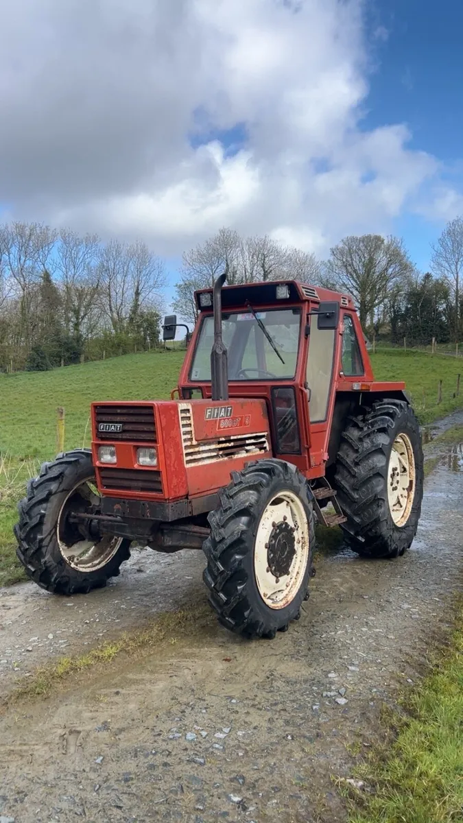 Fiat 880/5 dt - Image 2