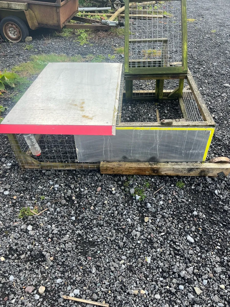 Chicken/rabbit run - Image 1
