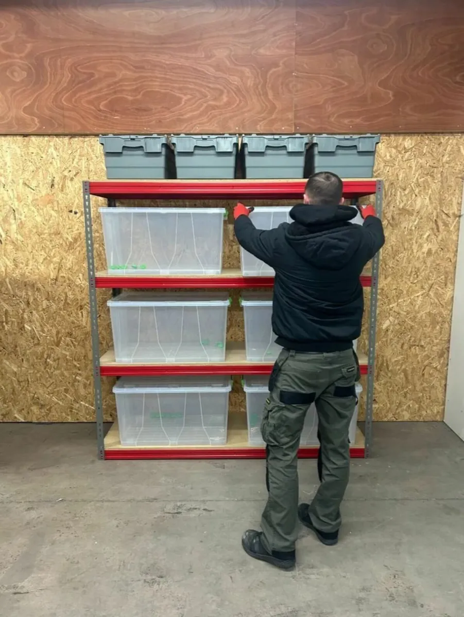 Garage Shelving - Image 3