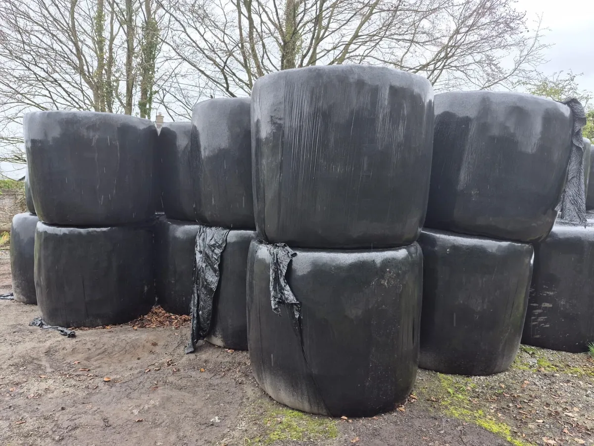 Silage Bales