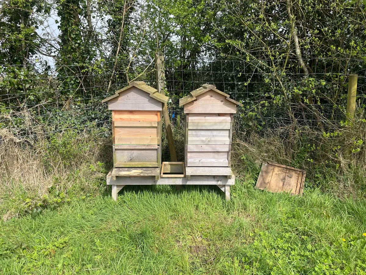 2 Bee hives - Image 1