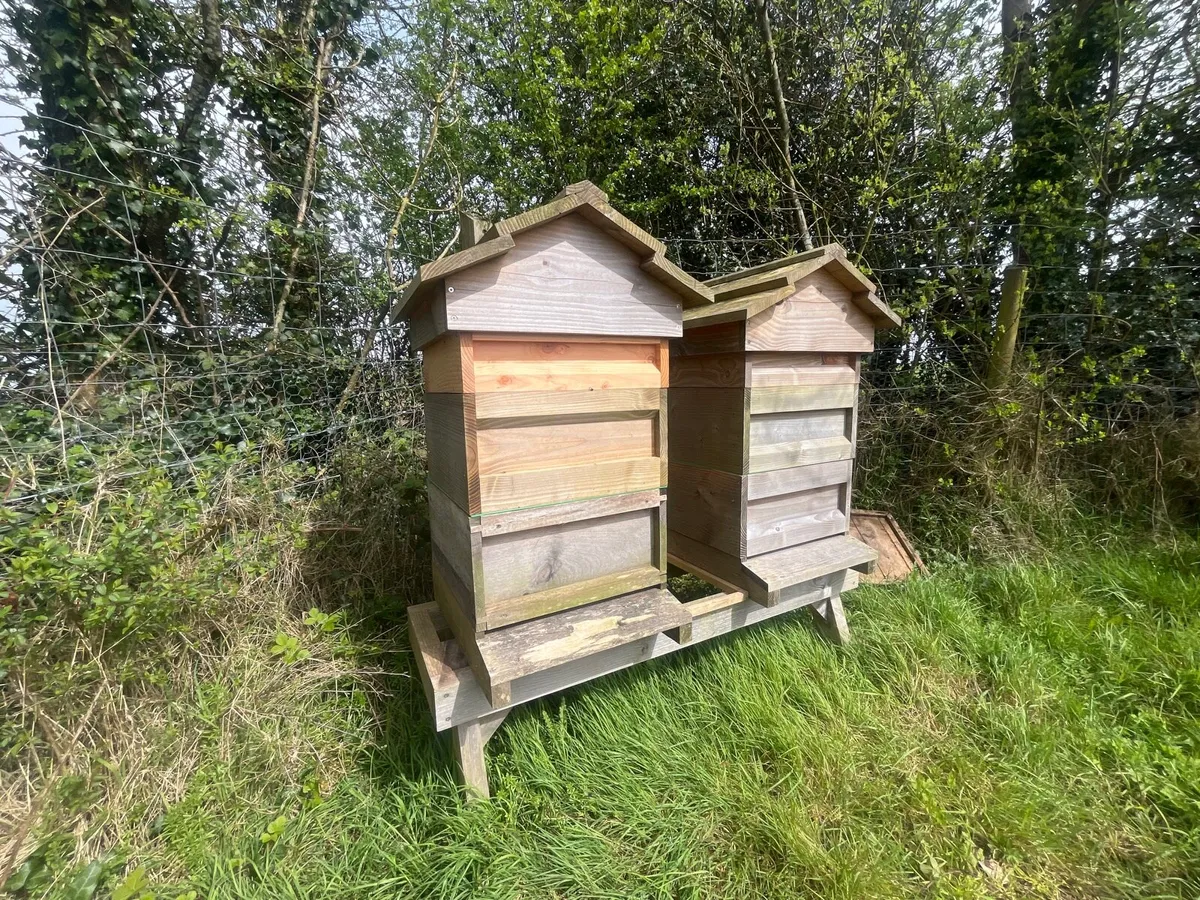 2 Bee hives - Image 2