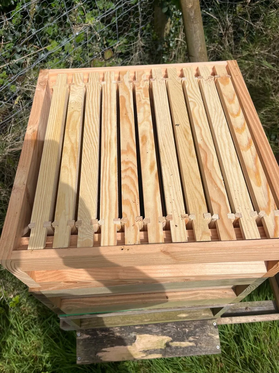 2 Bee hives - Image 3