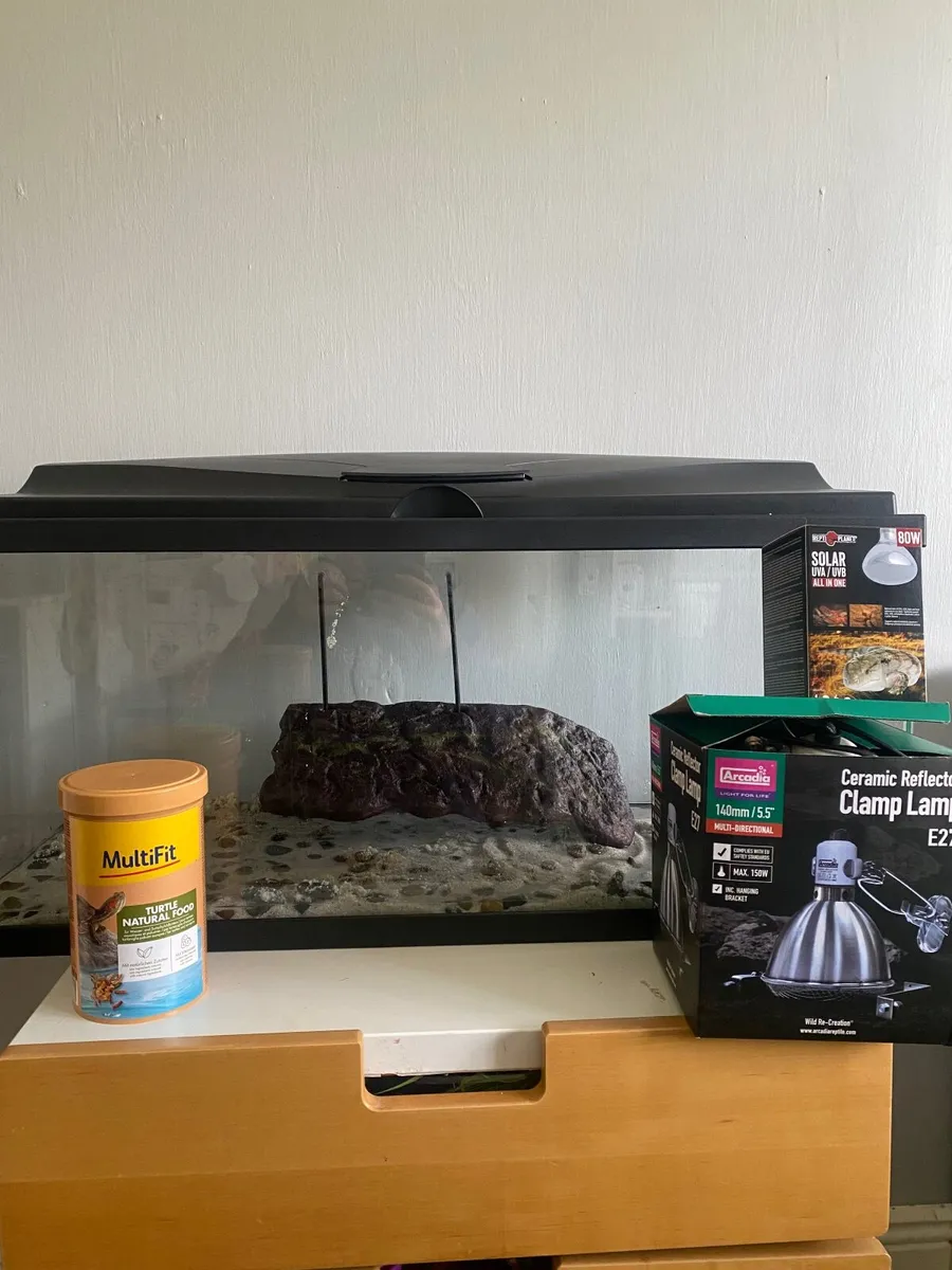 Fish tank/Turtle tank/accessories - Image 1