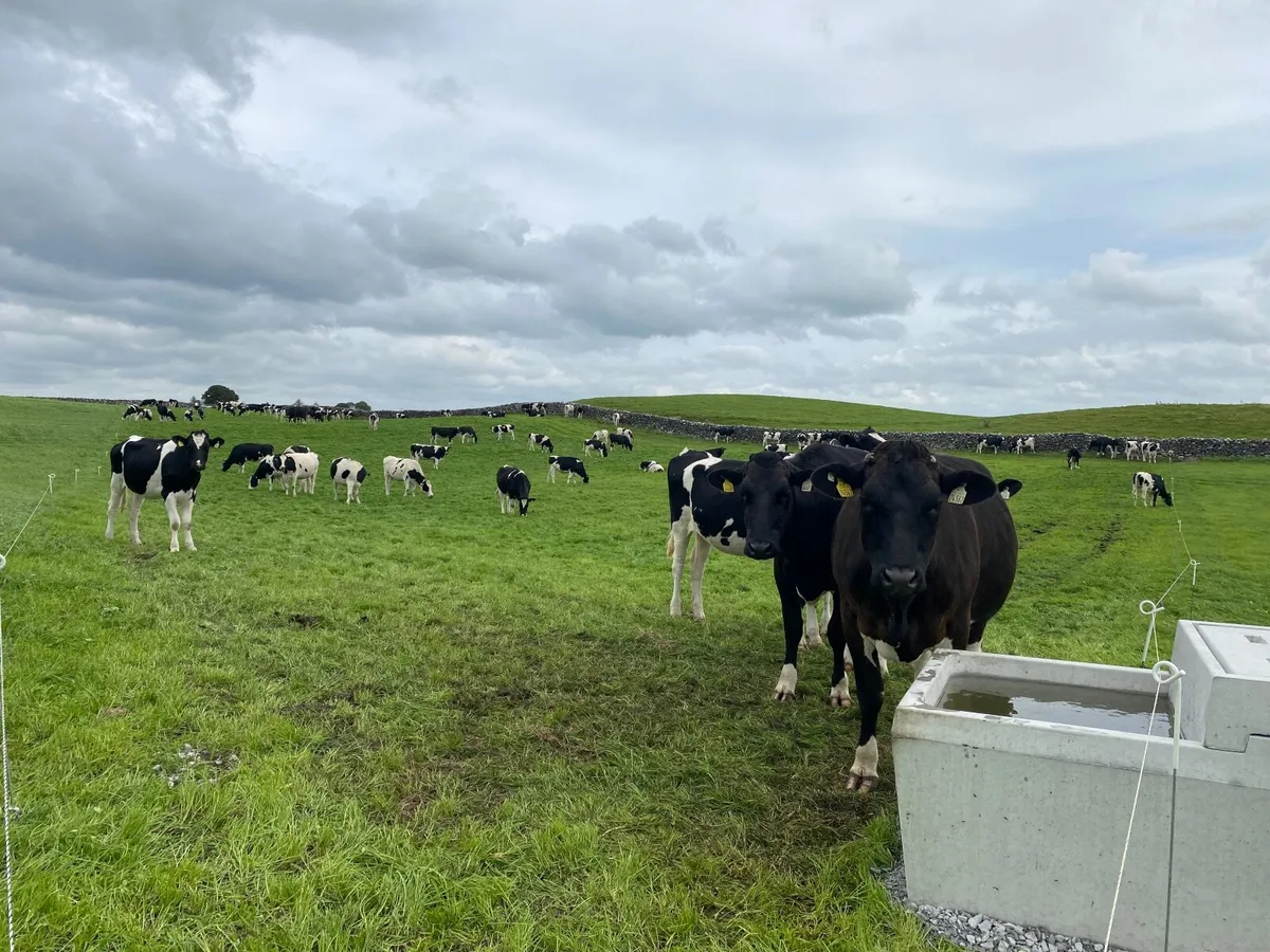 Contract Rearing - Image 1