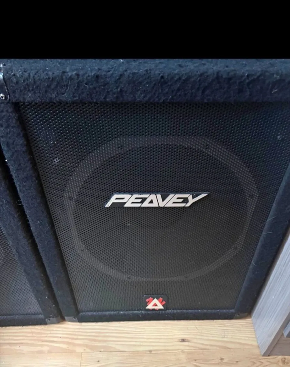 Peavey speakers - Image 1