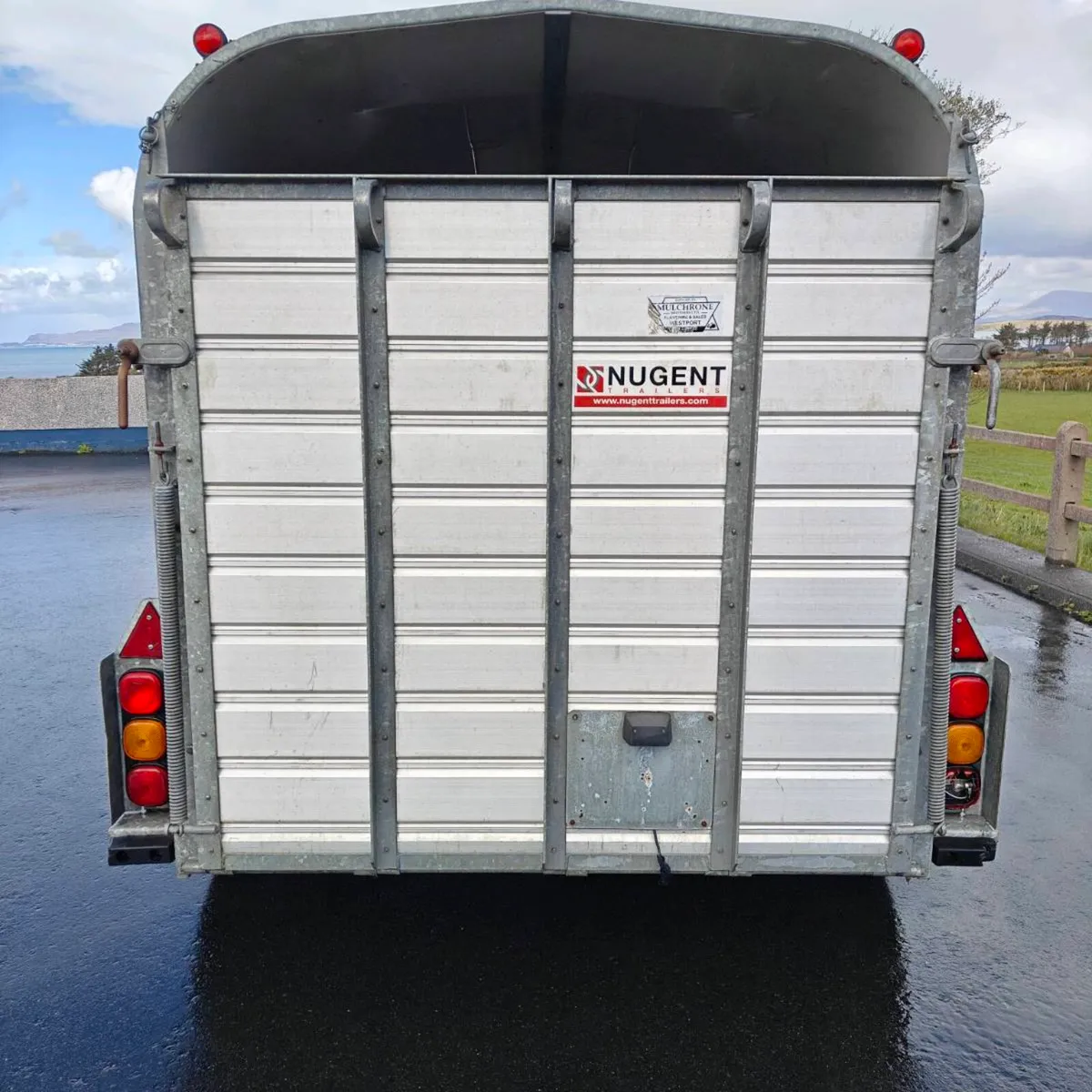 NUGENT 10 by 5'6" livestock trailer - Image 4