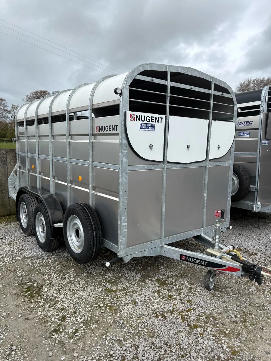 Nugent 12x6 Demo - Image 1