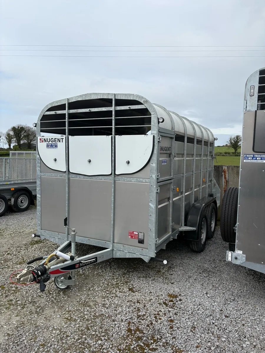 Nugent 12x6 Demo - Image 2