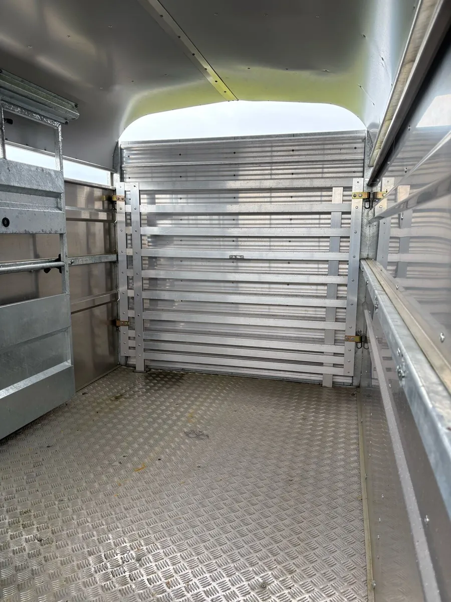 Nugent 12x6 Demo - Image 4