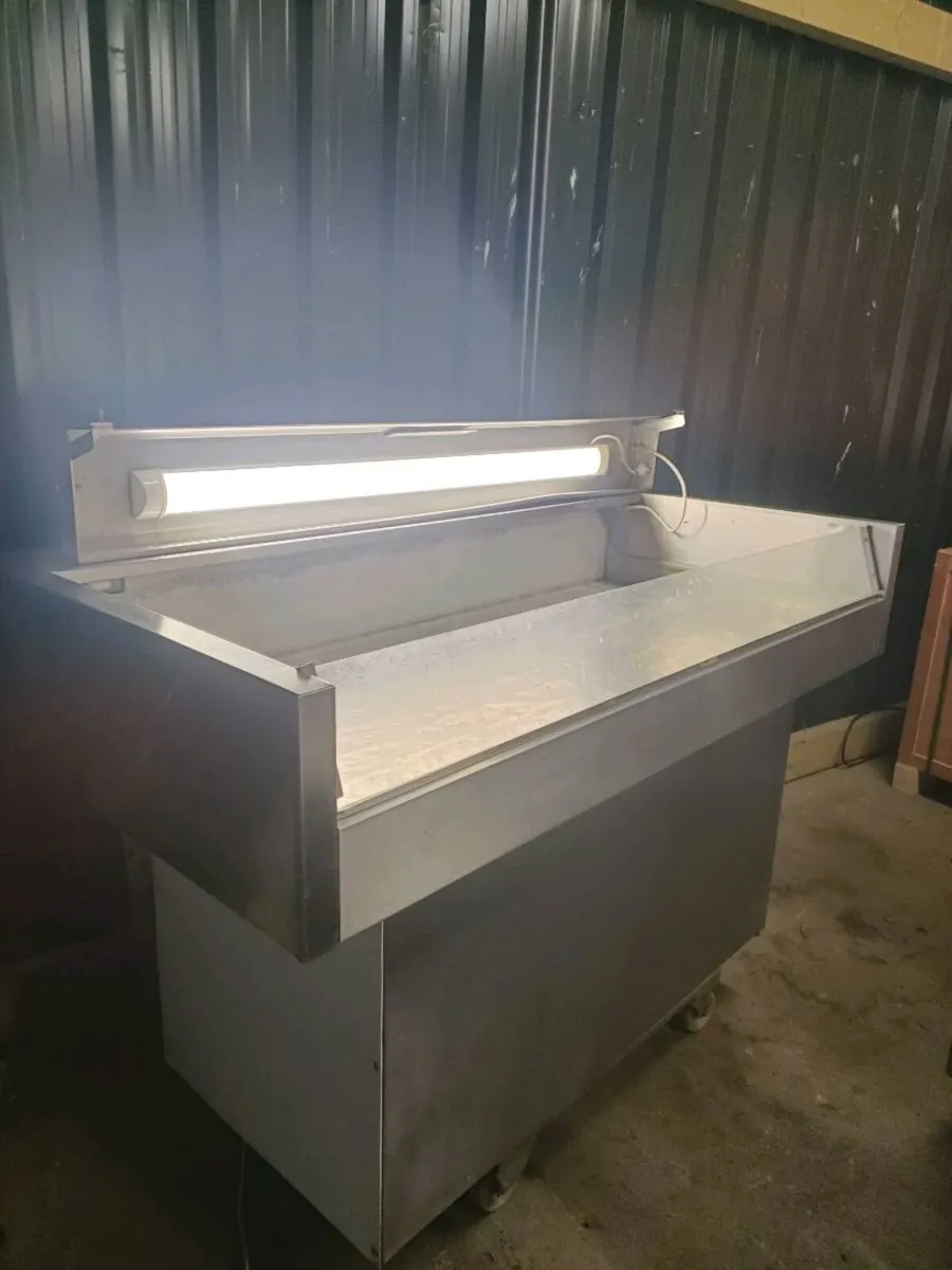 Fish display counter - Image 3