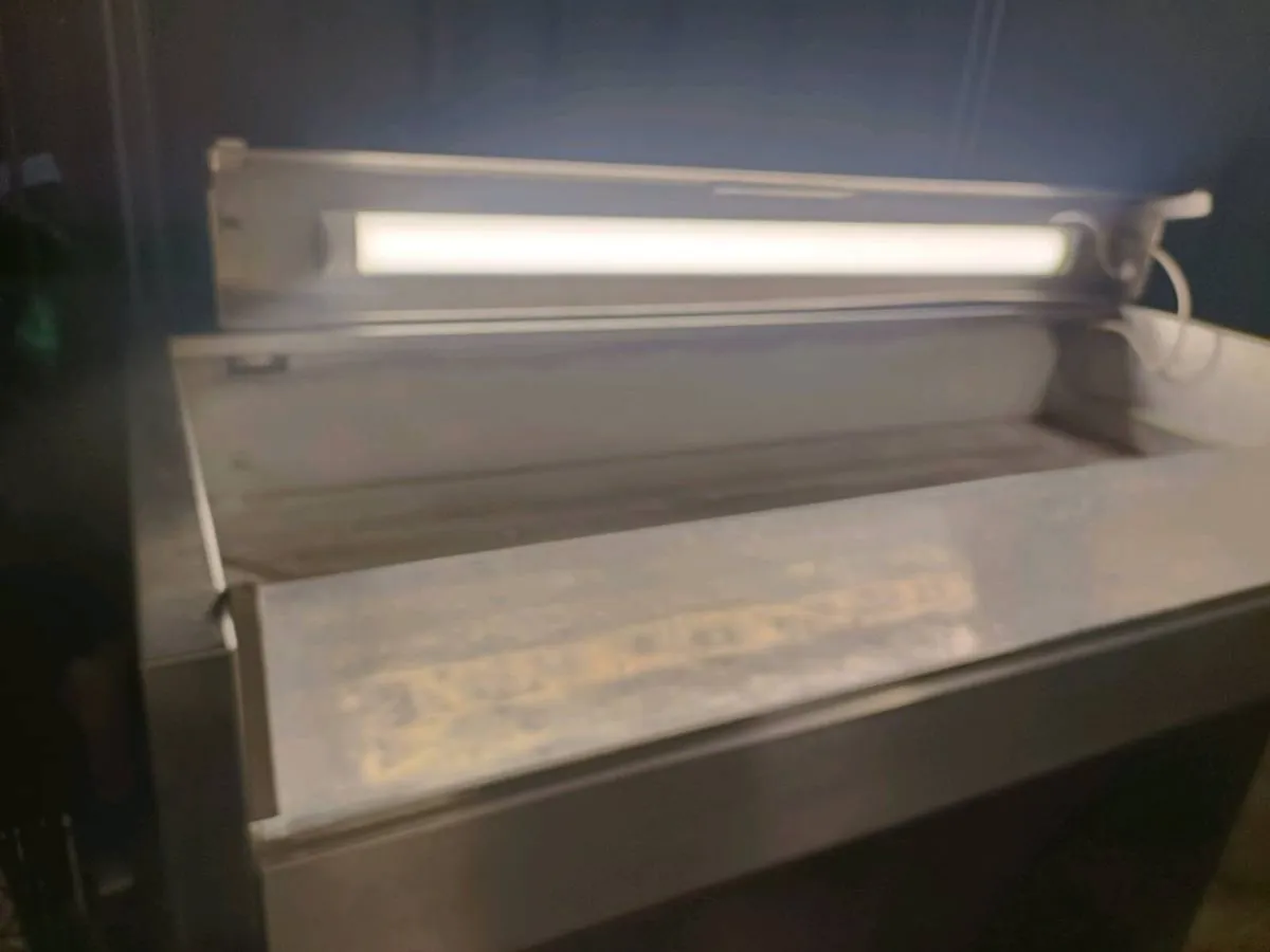 Fish display counter - Image 4