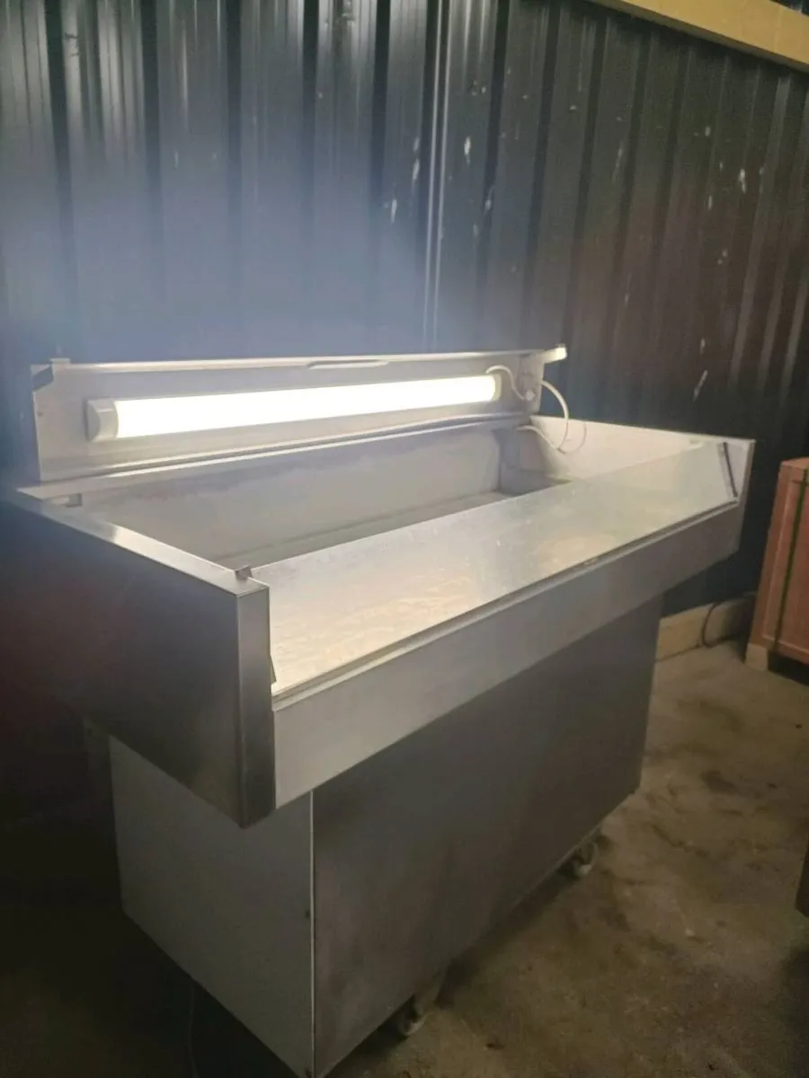 Fish display counter - Image 1