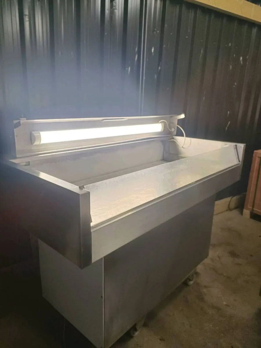 Fish display counter - Image 2