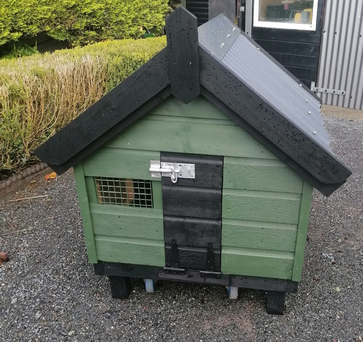 New Duck House with laying  Ducks - Image 1