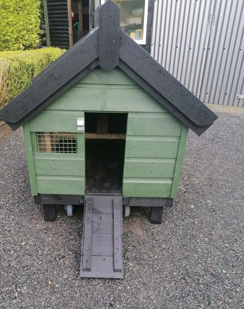 New Duck House with laying  Ducks - Image 3