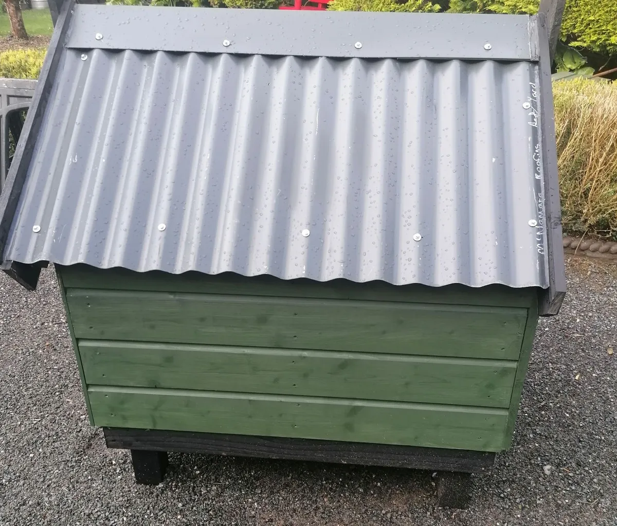 New Duck House with laying  Ducks - Image 4