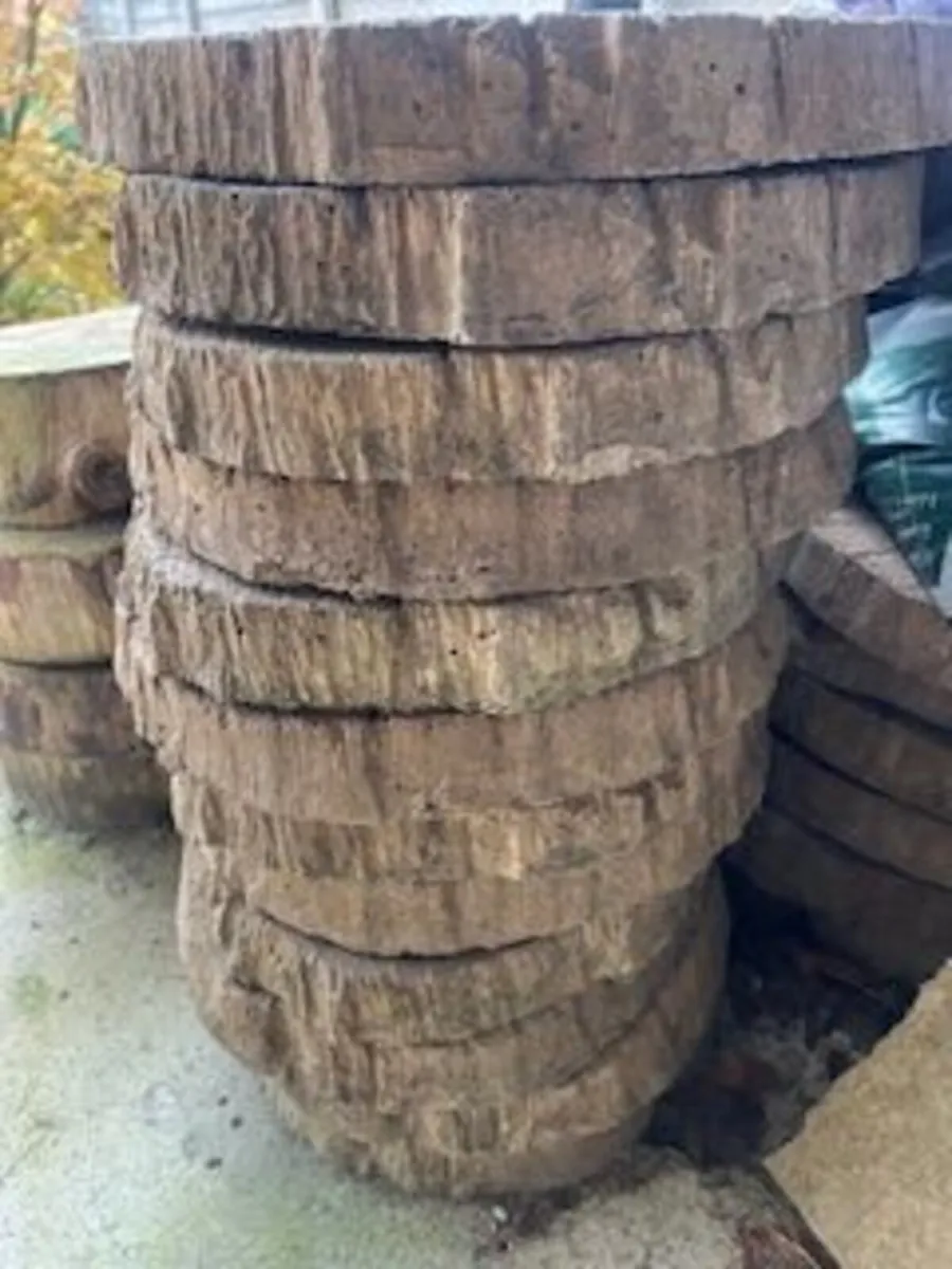 Stepping Stones - Image 2