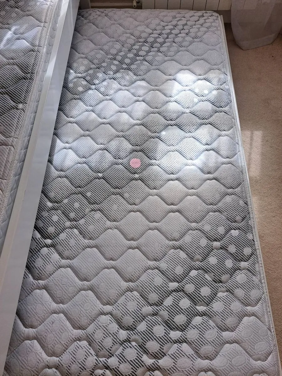 Trundle Bed, Guest pull out bed - Image 4