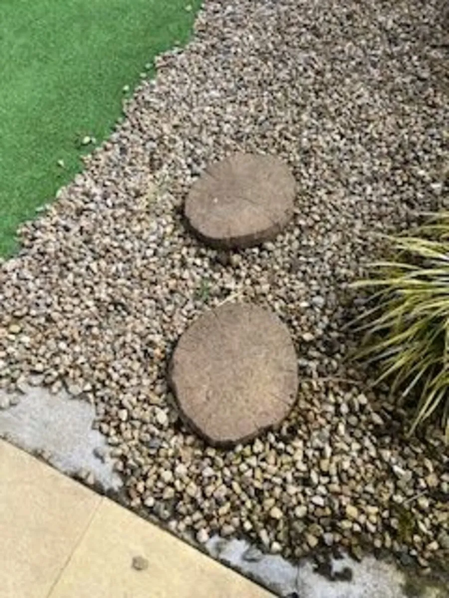 Stepping Stones - Image 1