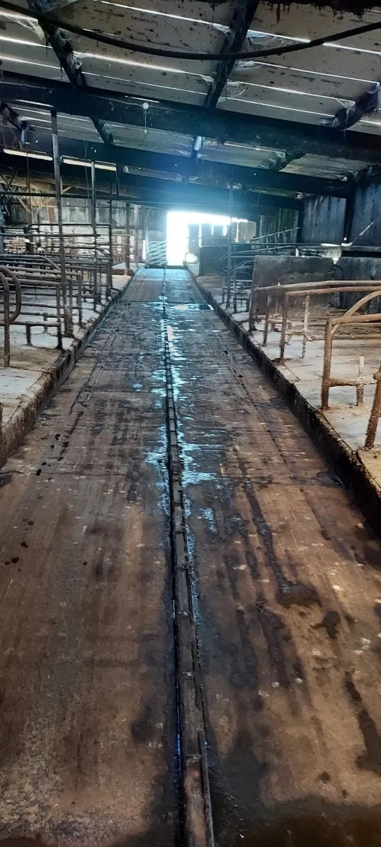 Cashman feeders and augers - Image 4