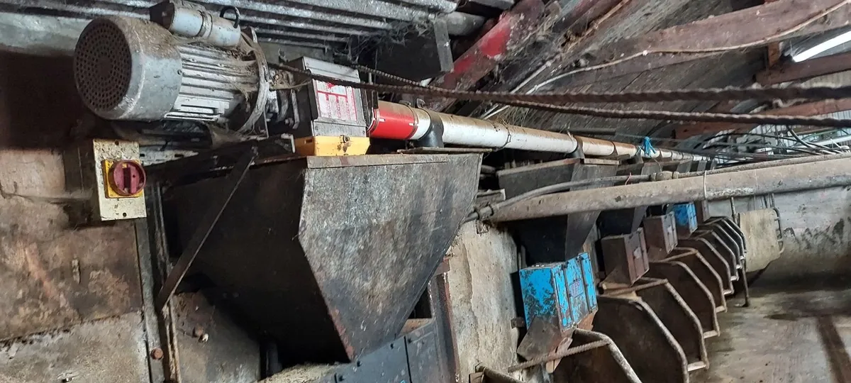 Cashman feeders and augers - Image 2