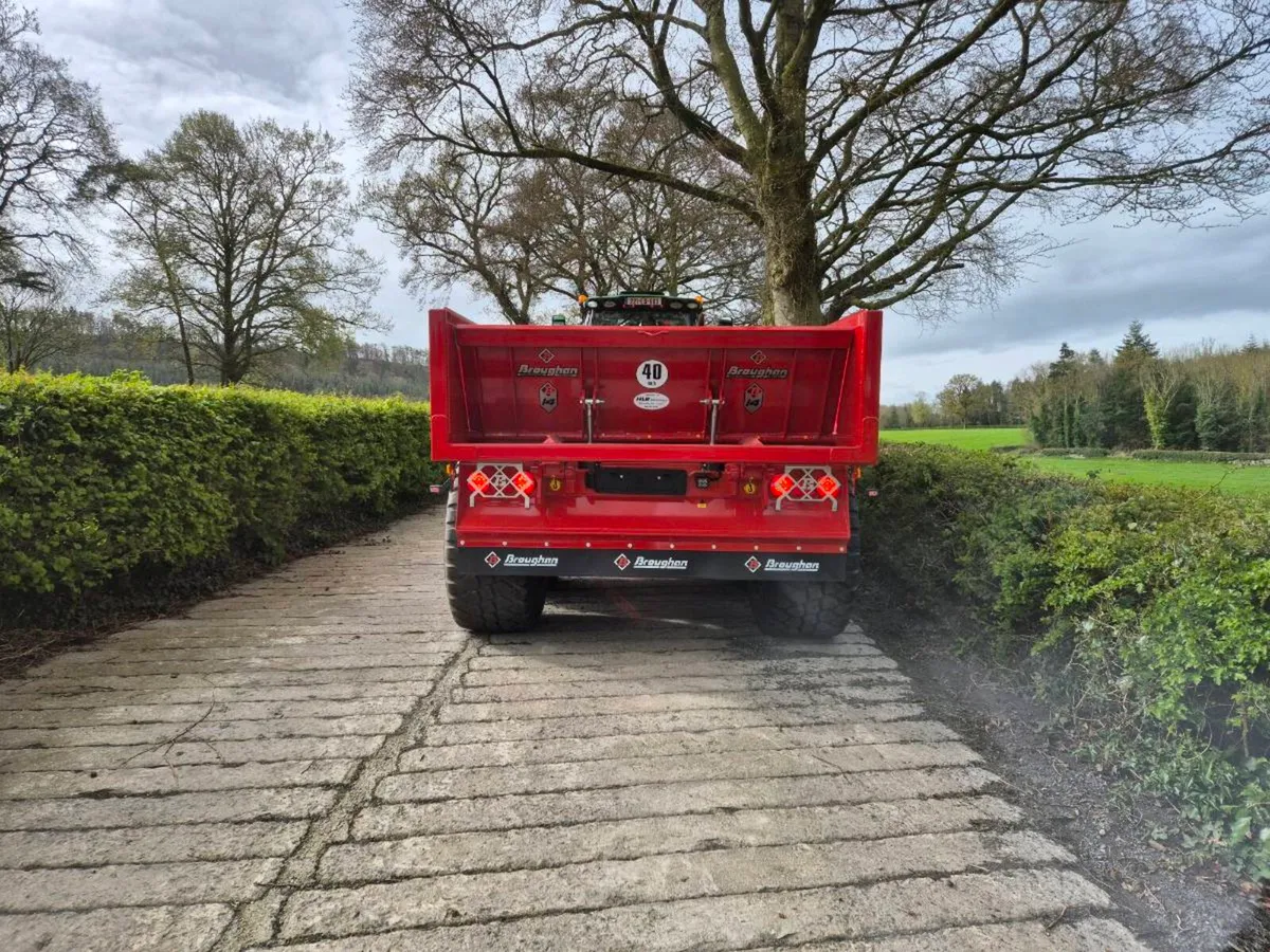 Dump Trailer - Image 4