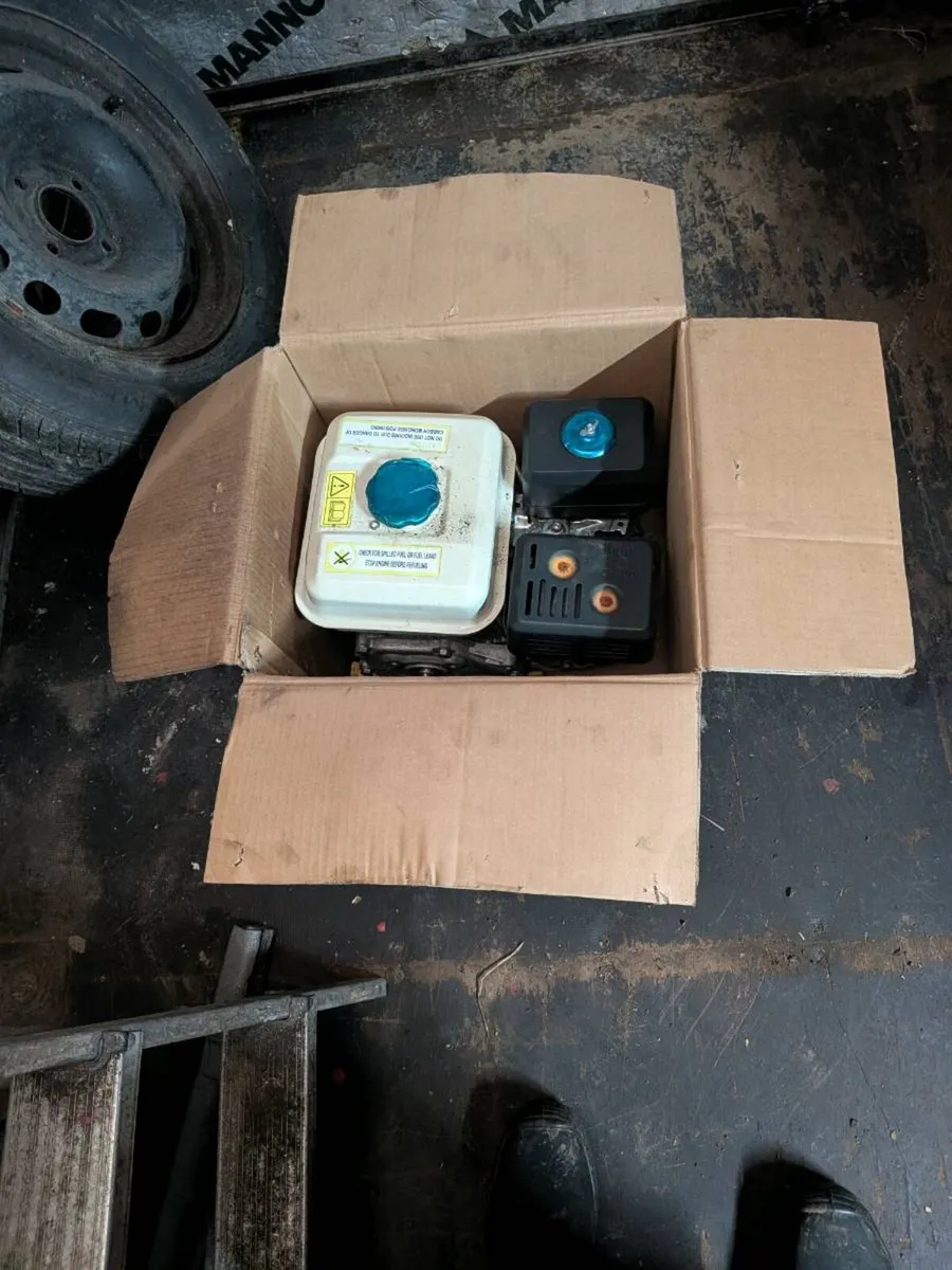 Log tongues - Image 1