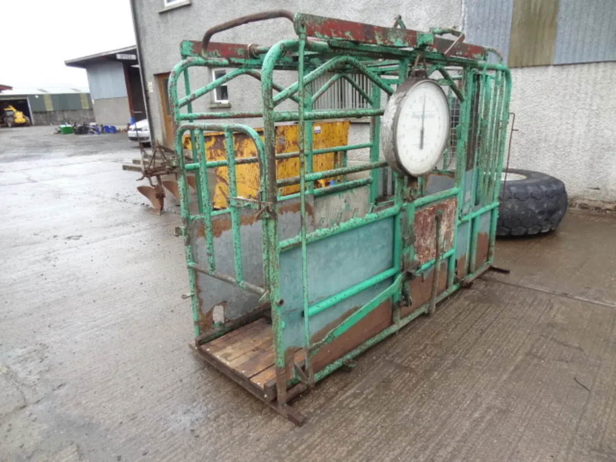Tubar Portable Weigher Cattle Crush - Image 1