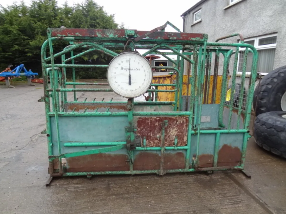 Tubar Portable Weigher Cattle Crush - Image 2