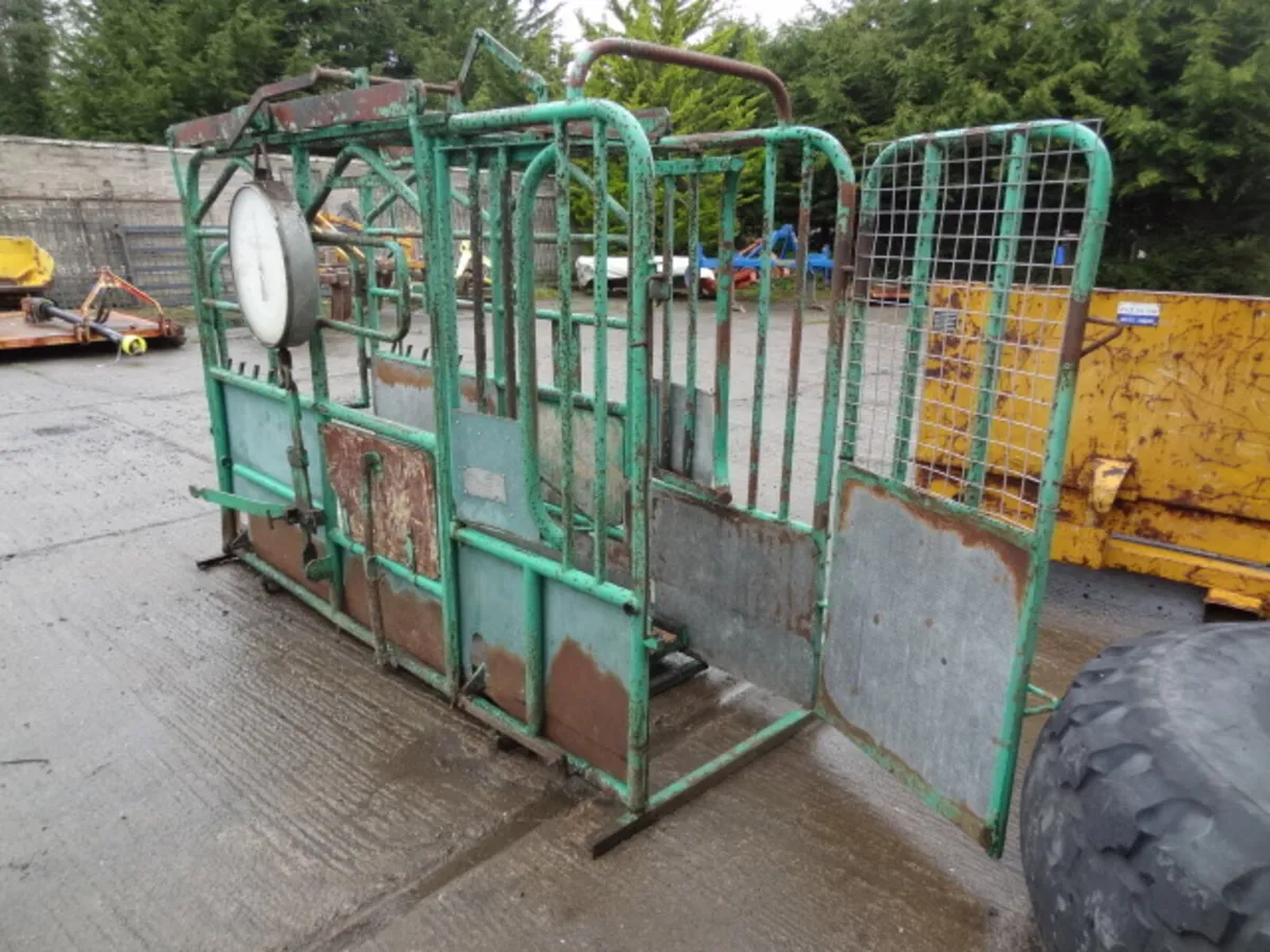 Tubar Portable Weigher Cattle Crush - Image 4