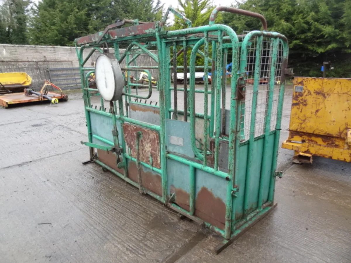 Tubar Portable Weigher Cattle Crush - Image 3