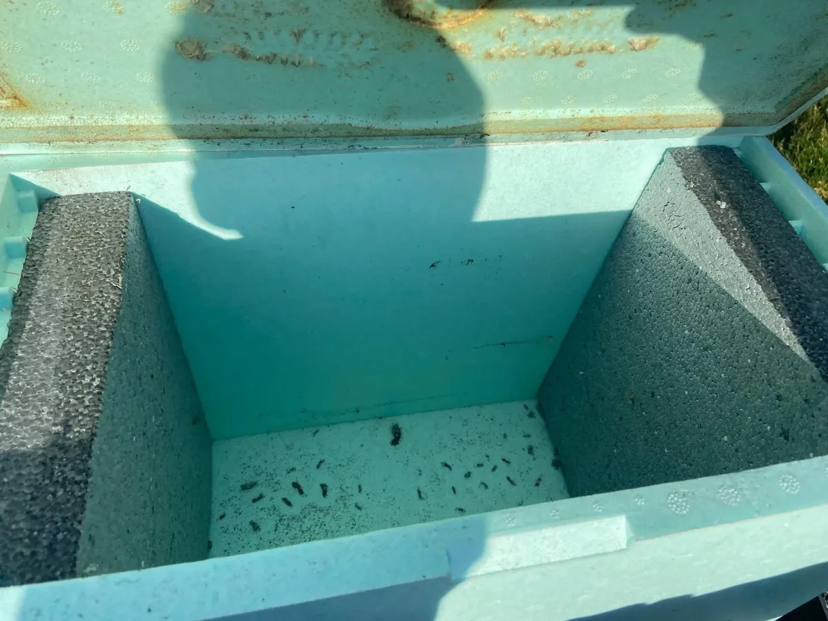 langstroth hive nuc - Image 2