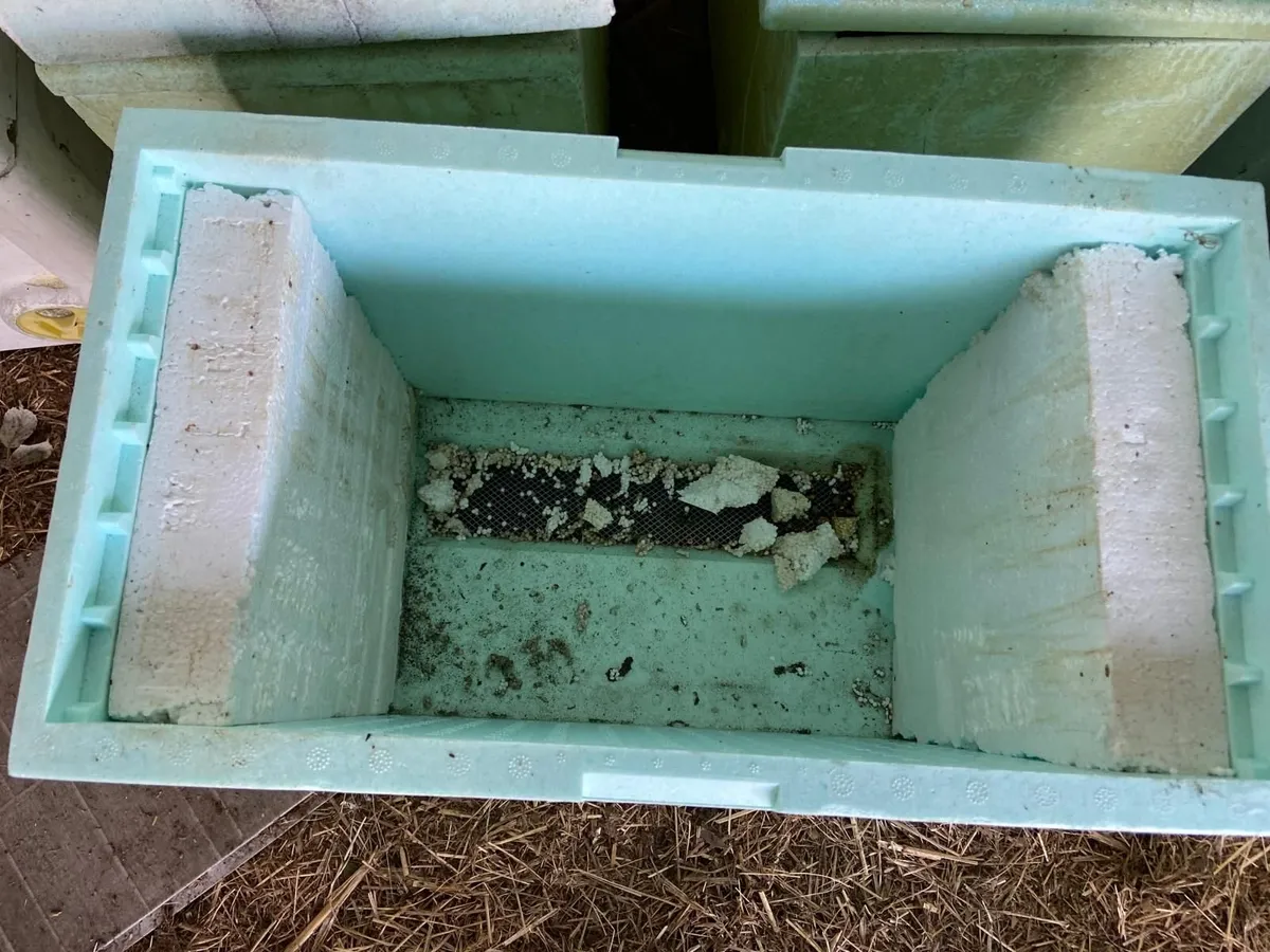 langstroth hive nuc - Image 4