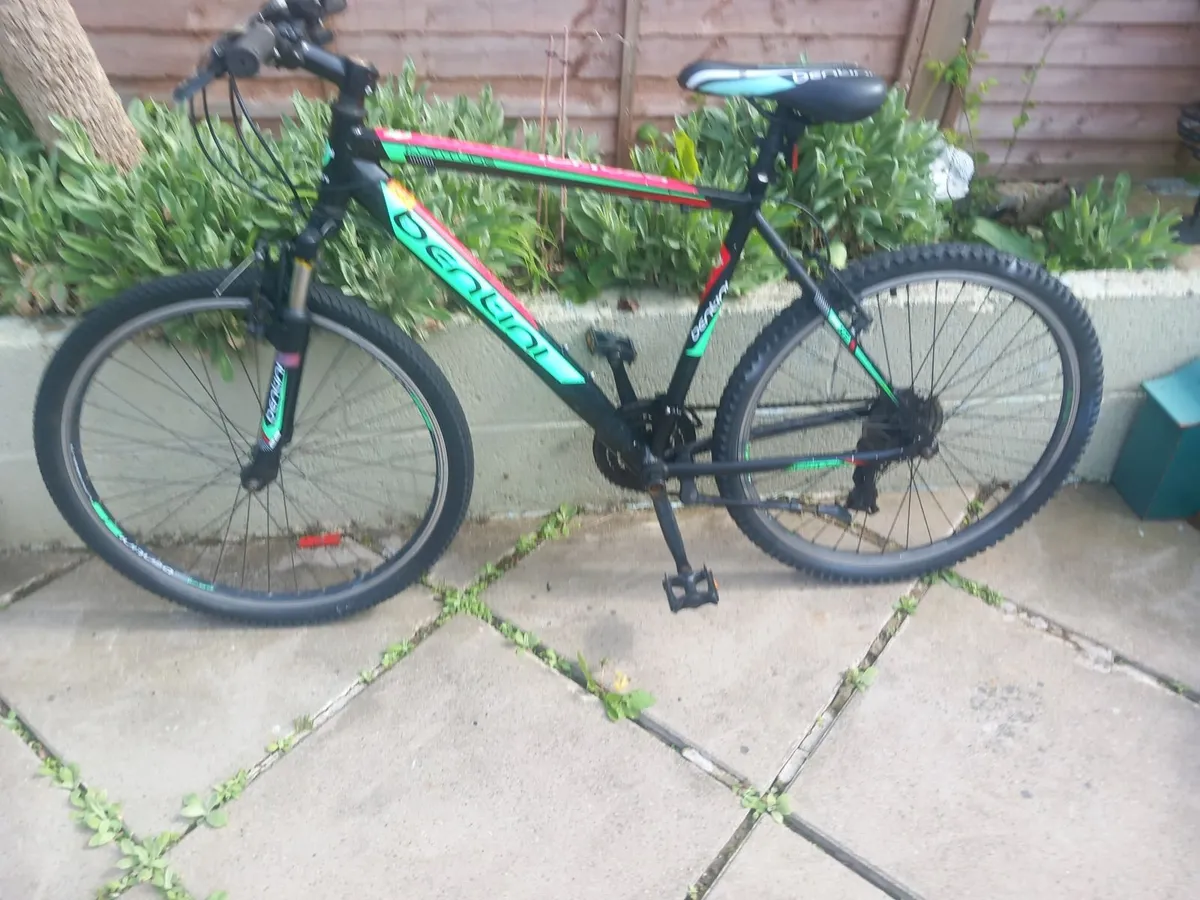 mountain bike - Image 1