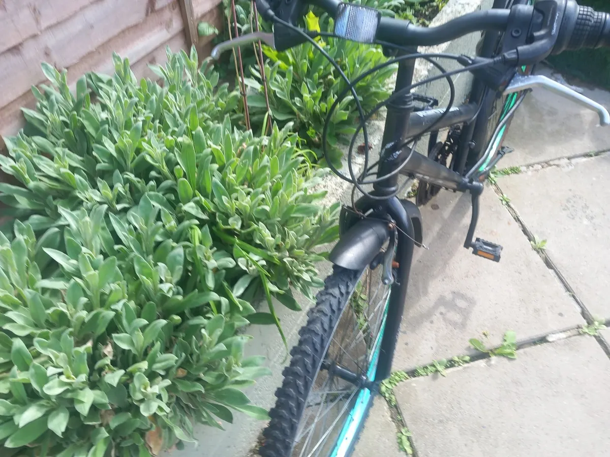 ladies mountain bike - Image 3