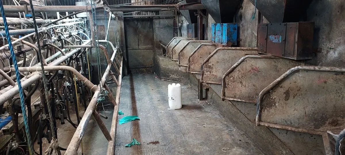 Cashman feeders and augers - Image 1