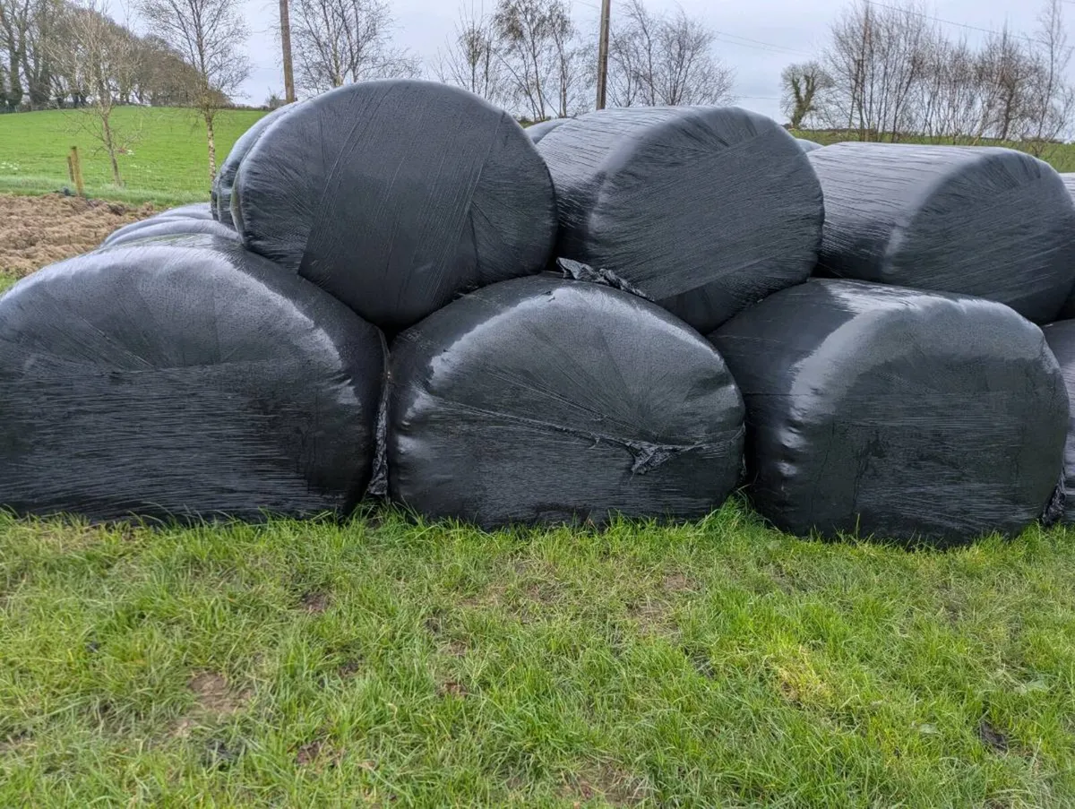 Silage - Image 1