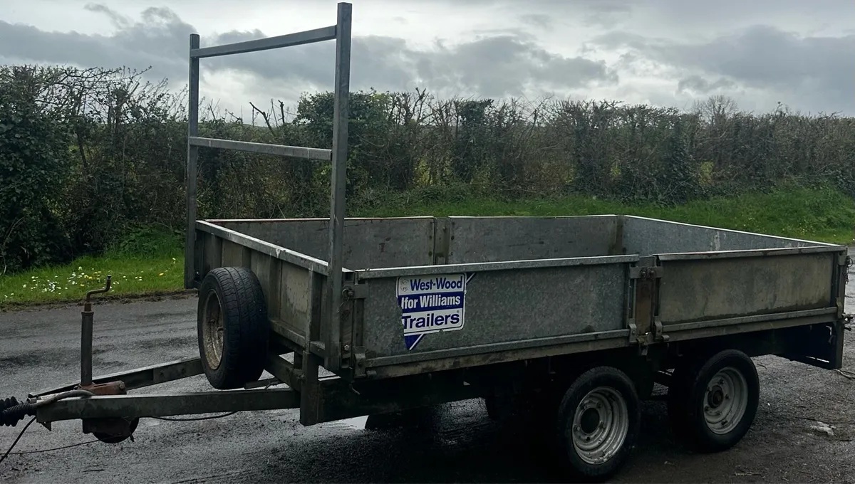 10 x 5 Ifor Williams Trailers - Image 1