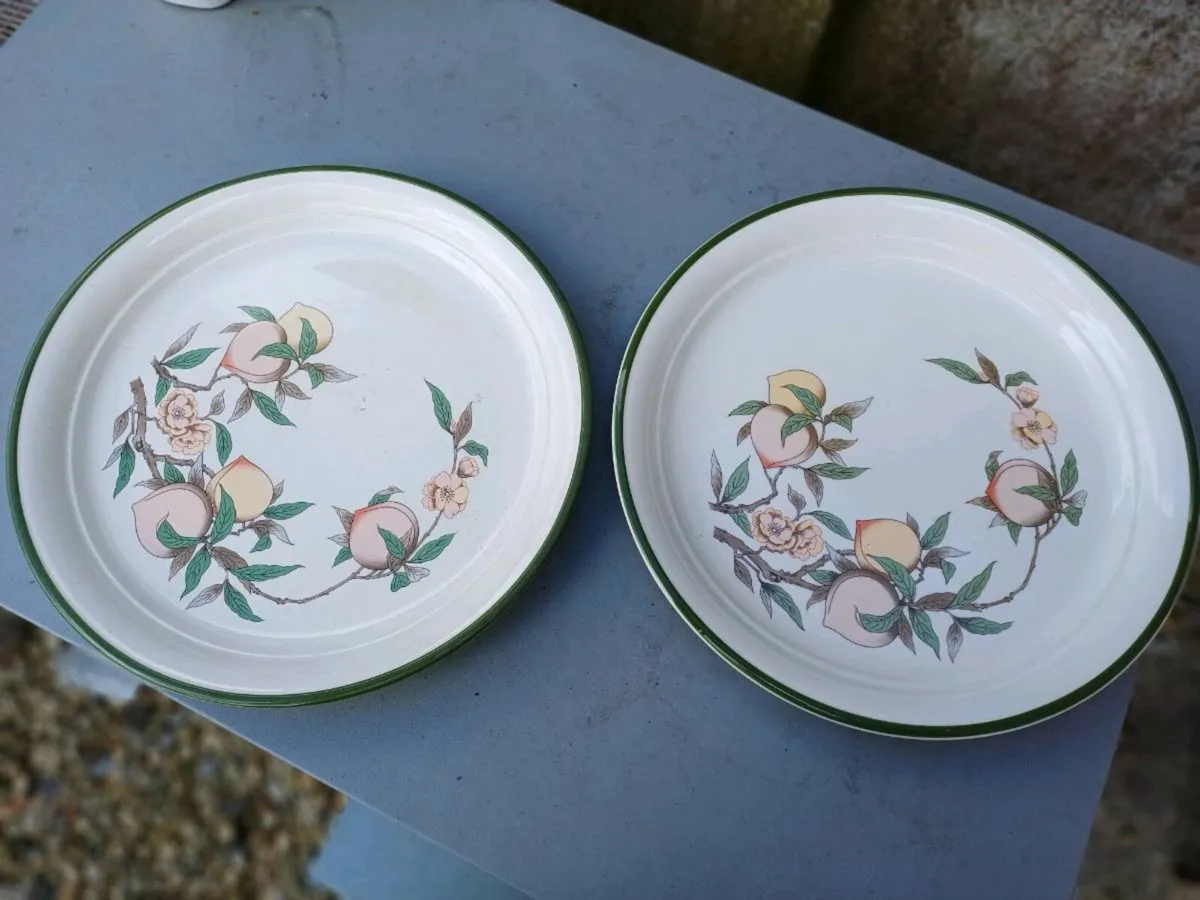 Large Vintage Arklow Honeystone Plates - Image 1