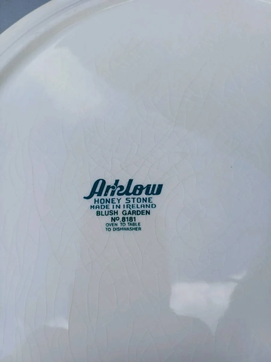 Large Vintage Arklow Honeystone Plates - Image 4