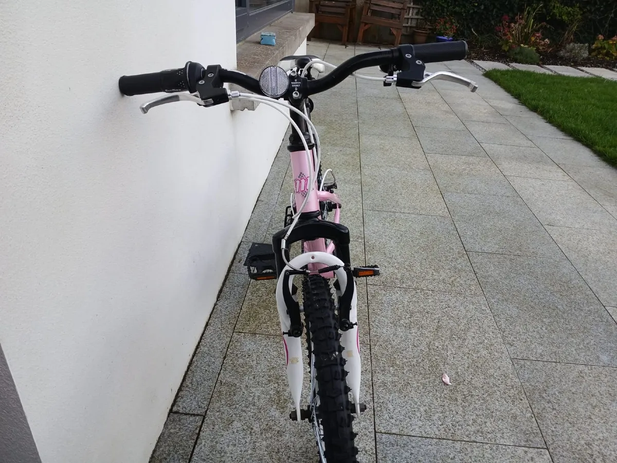 Girls Bicycle - Image 2