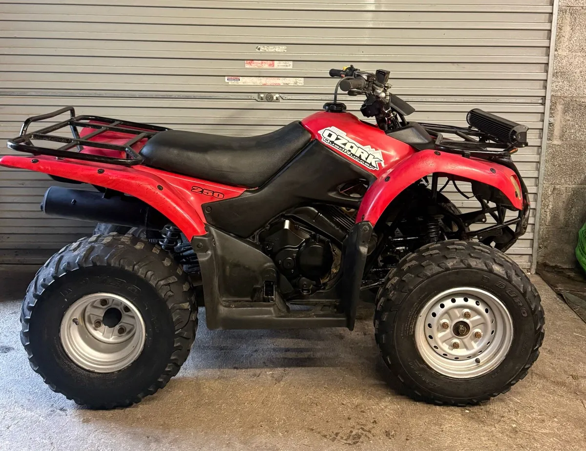Suzuki Ozark 250cc quad 2016 - Image 1