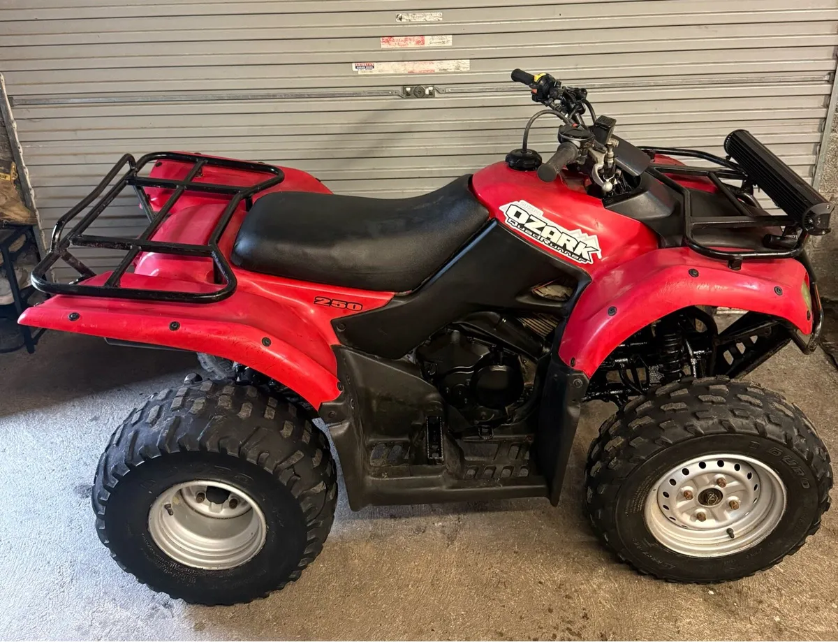 Suzuki Ozark 250cc quad 2016 - Image 2